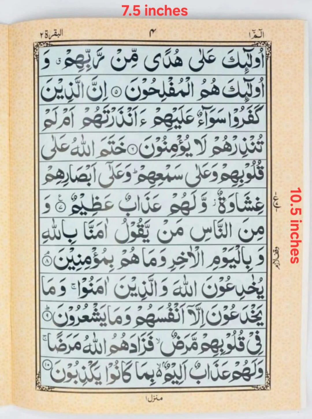 Para Set 205-C / Large Later / With Out Translation